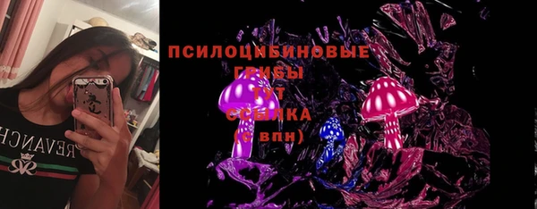 ГАЛЛЮЦИНОГЕННЫЕ ГРИБЫ Абаза