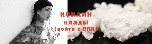 ГАЛЛЮЦИНОГЕННЫЕ ГРИБЫ Абаза