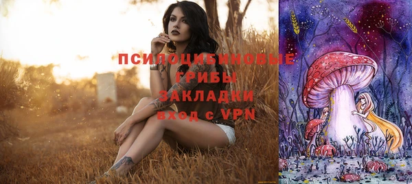стаф Шали