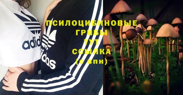 2c-b Абдулино