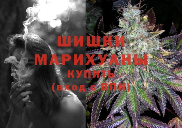 стаф Шали