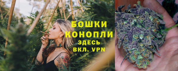 гидропоника Шадринск