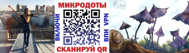 Галлюциногенные грибы MAGIC MUSHROOMS  ОМГ ОМГ как зайти  Шали 