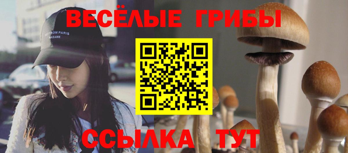 Шали  Псилоцибиновые грибы Magic Shrooms  цены наркотик  Галлюциногенные грибы прущие грибы  Вход с VPN 