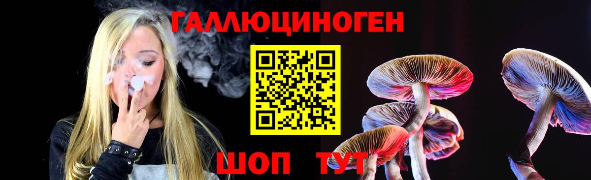 Псилоцибиновые грибы GOLDEN TEACHER Шали